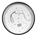 cfe743e74f64565ca425865cf3a432b2