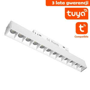 Lampa Sufitowa DDCX-GS12-220 Ty CCT Ze 12W - DomenoLED