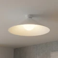 d972067b08c8de99353a56d63df8af55