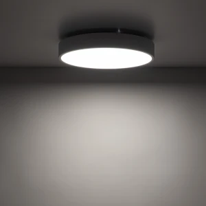 Plafon LED Velis 24W 1200lm CCT IP54 biały 30 cm 18279 - TK Lighting