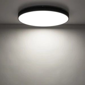 Plafon LED Velis 60W 3900lm CCT IP54 czarny 60 cm 18292 - TK Lighting