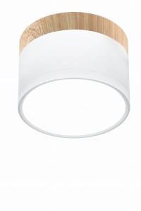 Oprawa stropowa Tuba biały + drewniany 1x 2273648 - Candellux Lighting
