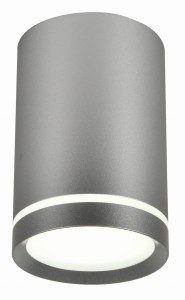 Lampa sufitowa Tuba 1xGU10 srebrna 2277158 Candellux