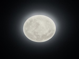 Lampa sufitowa Lunar biały LED zintegrowany 627514000 - Trio