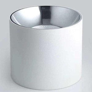 Oprawa nastropowa Spot Abigali Vaiolett 10W WW Biały